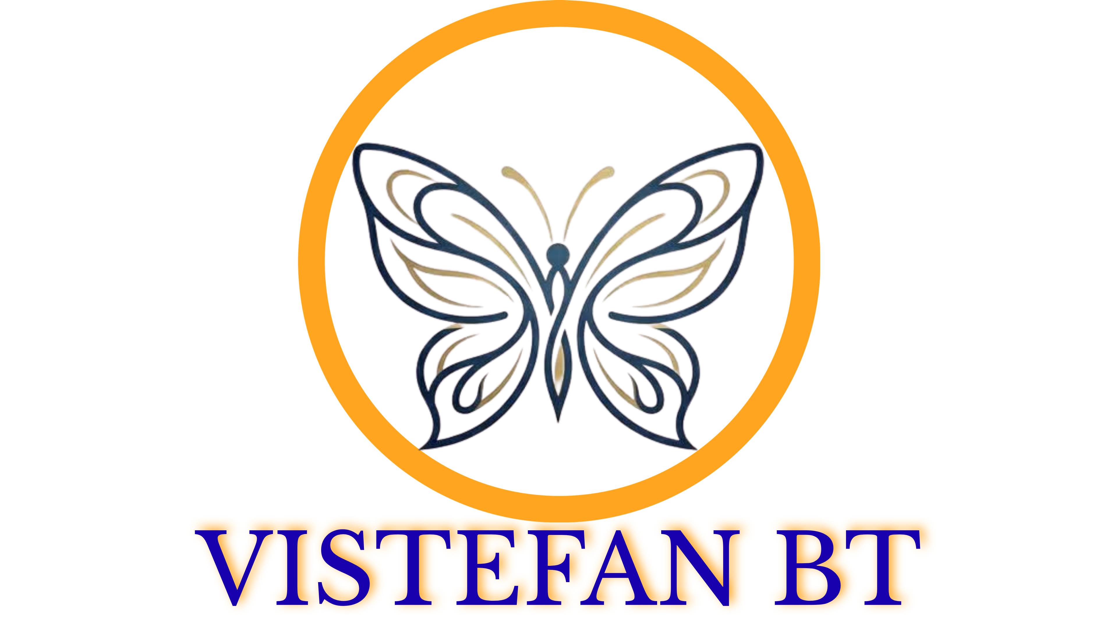 VISTEFAN BT